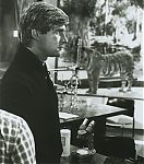 Full-PP050.jpg